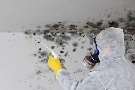 Best Emergency Mold Remediation  in Smithfield, NC